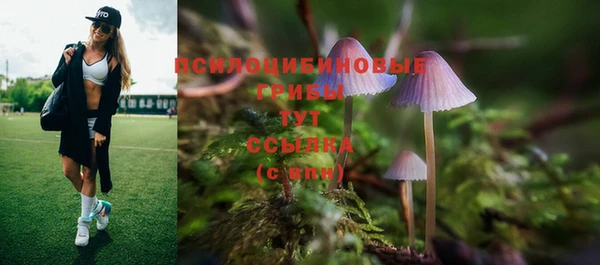 таблы Кодинск