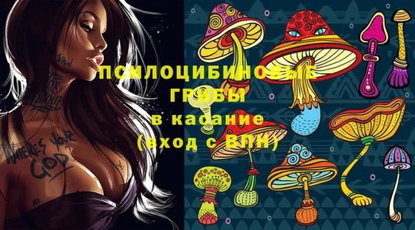 ГАЛЛЮЦИНОГЕННЫЕ ГРИБЫ Козельск