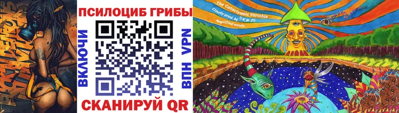 Псилоцибиновые грибы мицелий  Купить  Коркино 